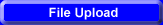 File Upload